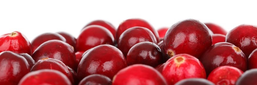 Achat en ligne thé canneberge, vente tisanes et infusions cranberry