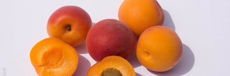 Thés et tisanes à l'abricot, achat vente en ligne