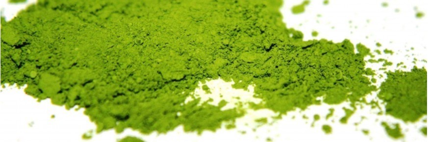 Matcha