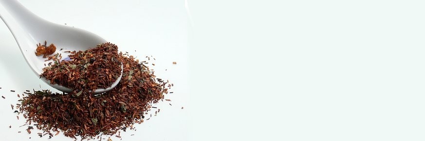 Rooibos - Thé rouge