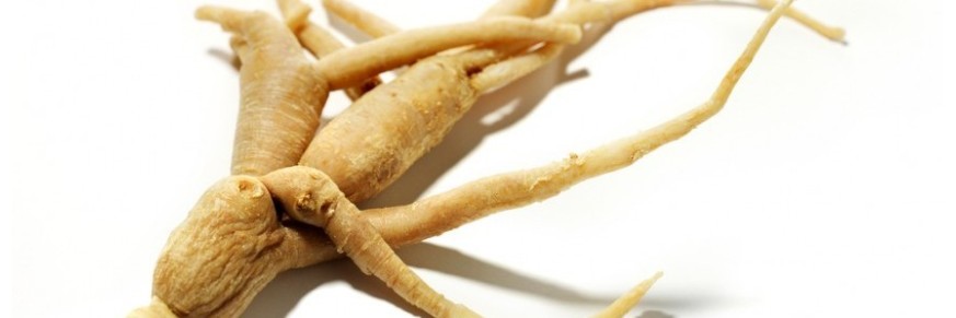 Achat thé au ginseng en ligne, vente tisane ginseng