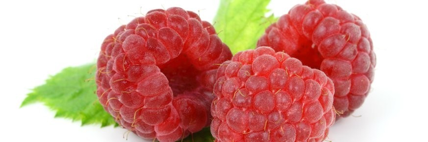 Thé et tisane à la framboise, feuille de framboisier, achat en ligne | T pour Thé