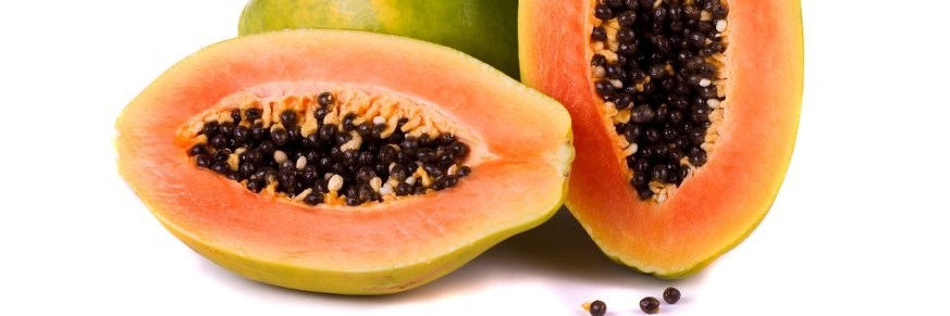 Achat en ligne de thés à la papaye, vente infusions et tisanes papaye