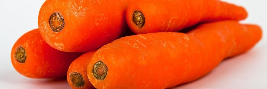 Achat en ligne de thés à la carotte, vente tisanes et infusions de carotte