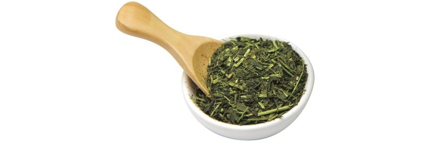 Achat de thés verts, vente thé vert en ligne