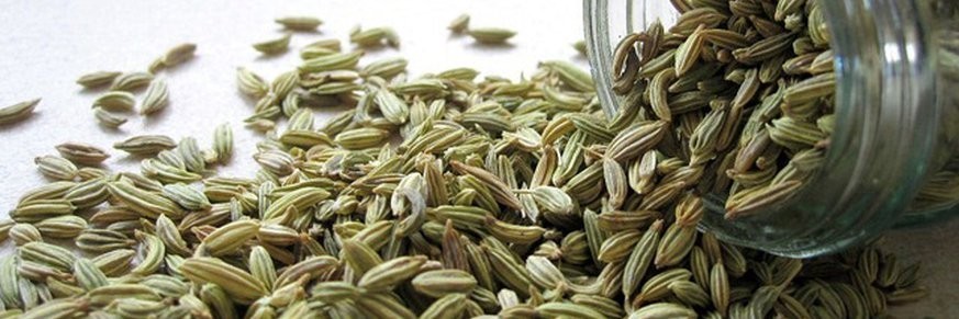 Achat en ligne de thé, tisane et infusion au fenouil, nombreuses vertus