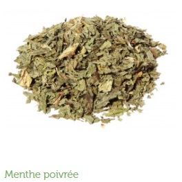 tisane menthe poivrée