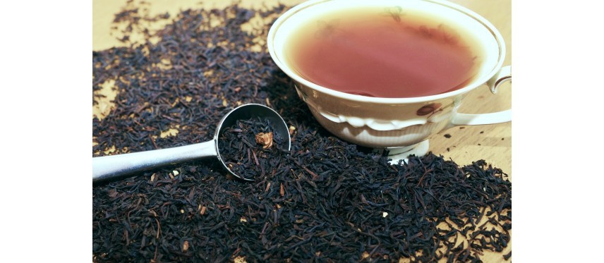 Noir, vert, blanc ou oolong : quel thé contient le plus de théine