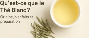 Qu’est-ce que le Thé Blanc ? Origine, Fabrication, Bienfaits et Dégustation